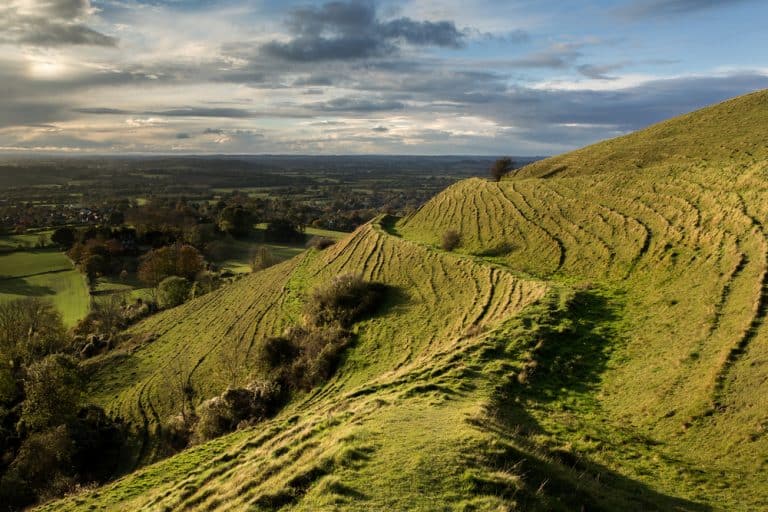 Bridging The Gap: How Dorset’s Rural Businesses Are Embracing The Tech Revolution