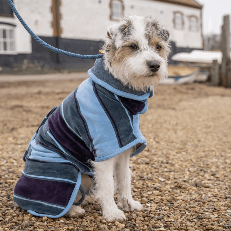win dog drying coat