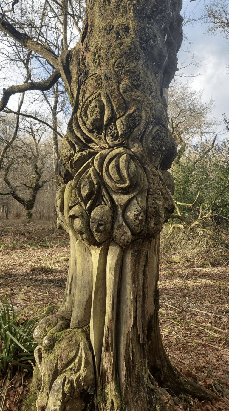 Easygoing Okeford Hill quietly special circular | 5.8 miles | Dorset Walks