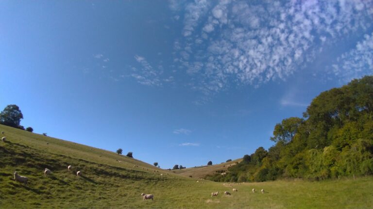 Win Green to Tollard Royal Circular – 8.5 miles. | Dorset Walks
