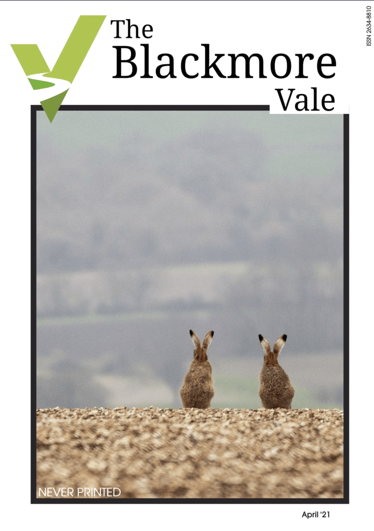 April Issue of the digital Blackmore Vale magazine.