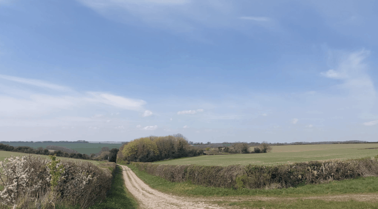 Wide and easy Tarrant Valley Circular 11.5 (OR 6.5!) miles | Dorset Walks