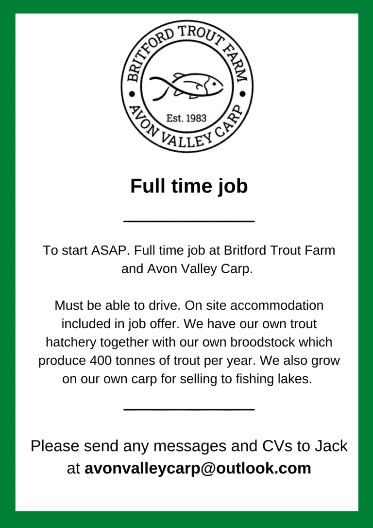 Full time job at Britford Trout Farm and Avon Valley Carp
