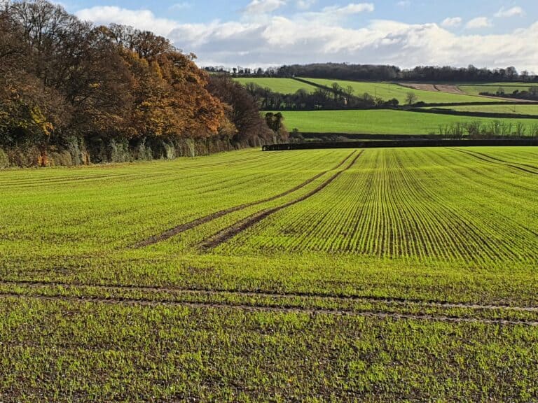 Why You Should Oppose 600 Home Development in North Blandford