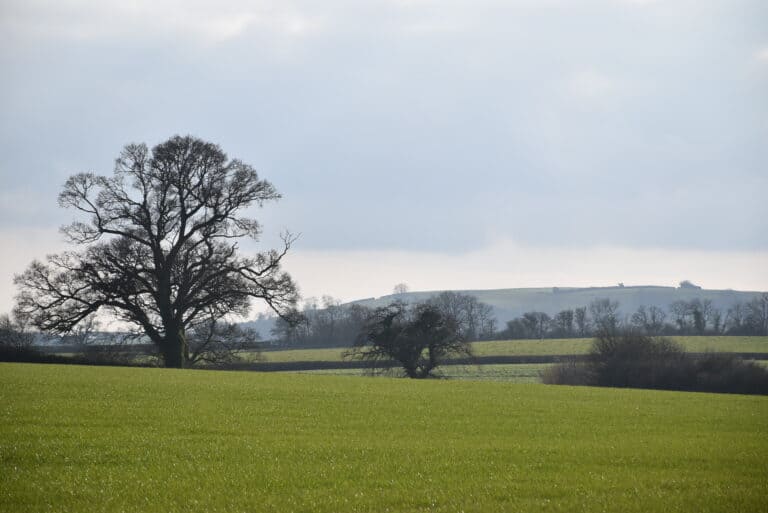 Why You Should Object To Giant Solar Farm In Blackmore Vale
