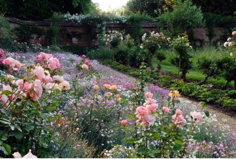 THE GARDENS OF CRANBORNE OPEN WEEKEND 2021