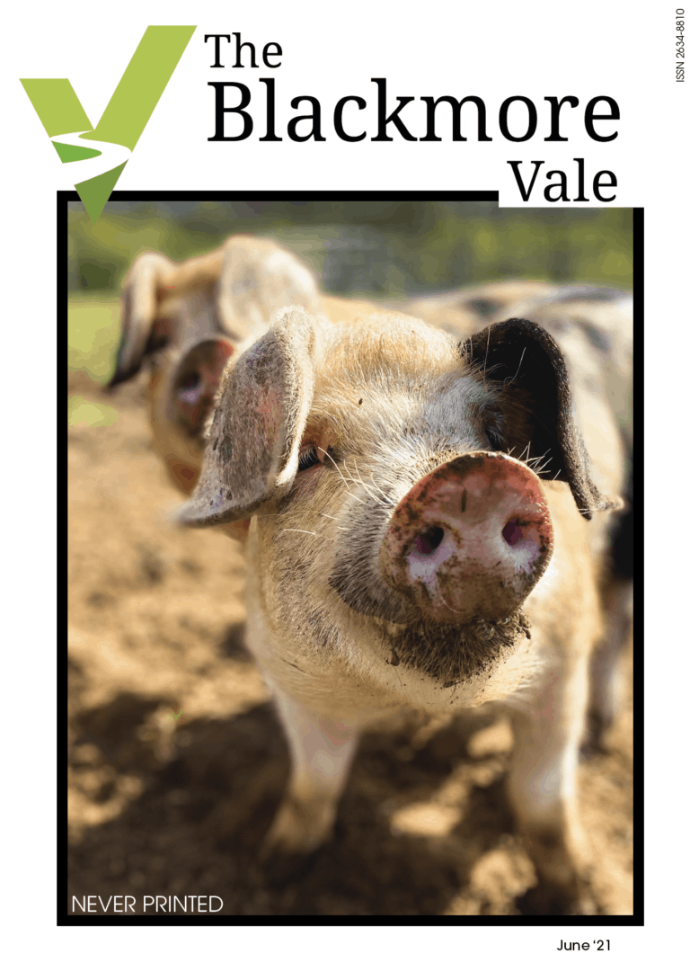 Digital Blackmore Vale June issue is out
