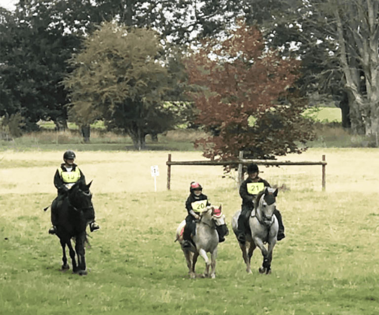The British Horse Society |    WHATCOMBE – PLEASURE RIDE