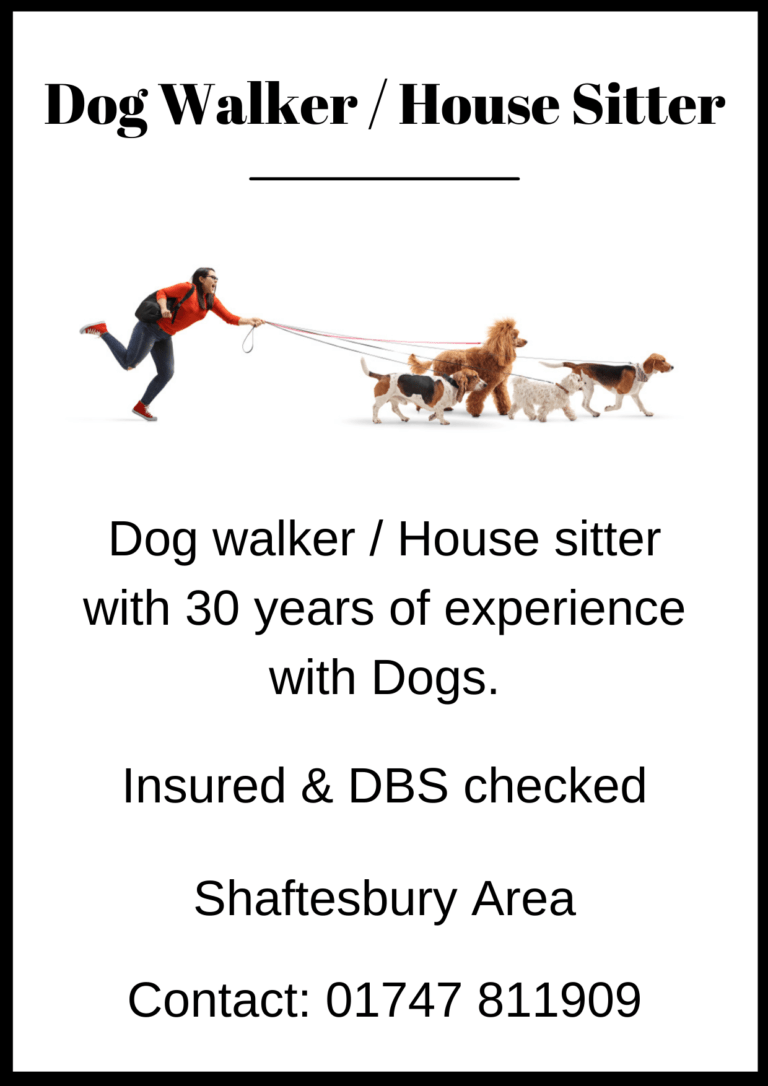 Dog Walker / House Sitter