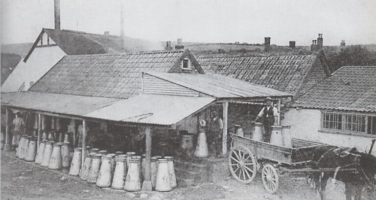 Hill View Dairies | Then & Now