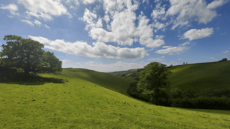 Kingcombe Meadows Nature Reserve Walk- 13 miles | Dorset Walks