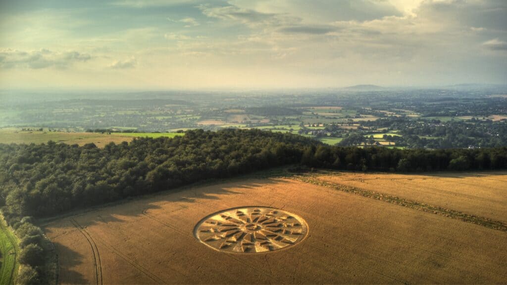 A new Crop Circle in Dorset 