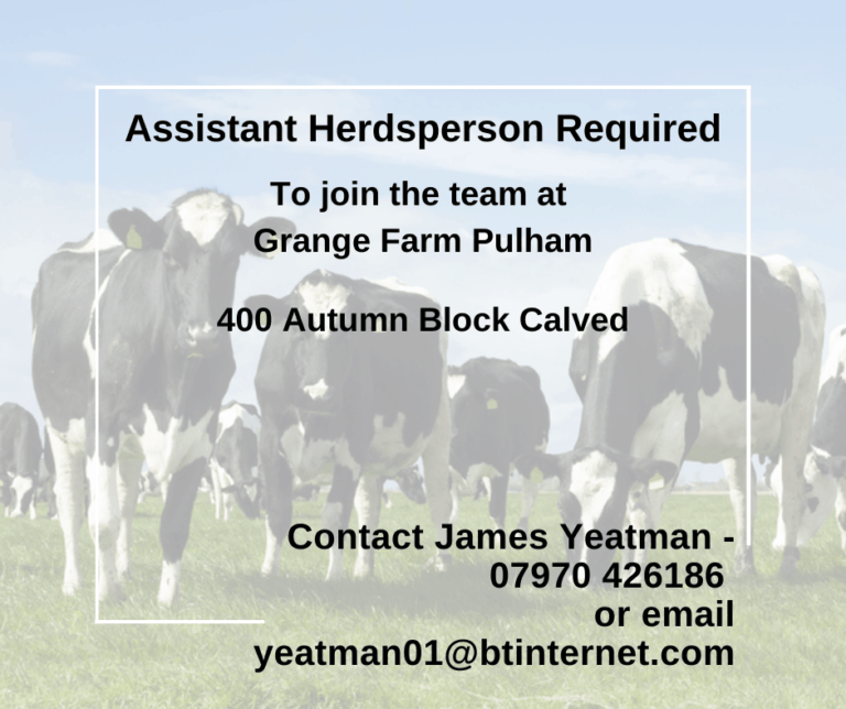Assistant Herdsperson Required