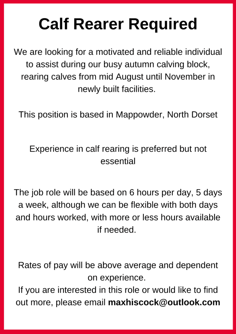 Calf Rearer Required | Mappowder North Dorset