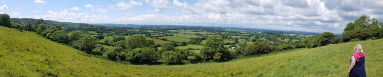 THE IMPORTANCE OF HEDGEROWS