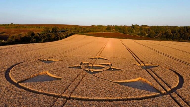 New Dorset Crop Circle in Blandford Forum