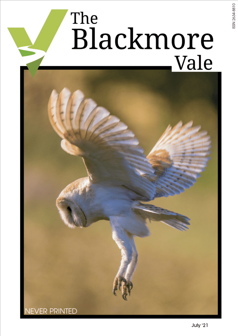 July issue of the digital Blackmore Vale magazine is out now!
