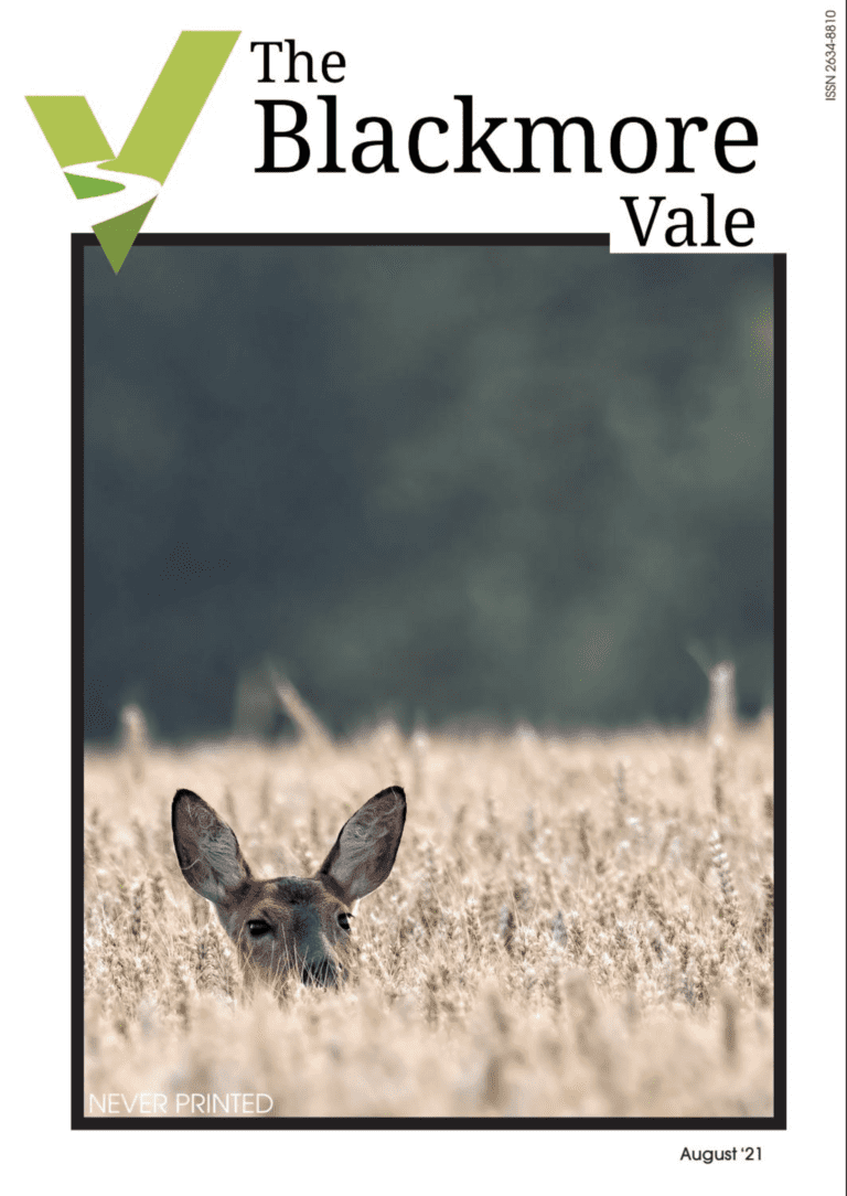 August issue of the digital Blackmore Vale magazine is out now!