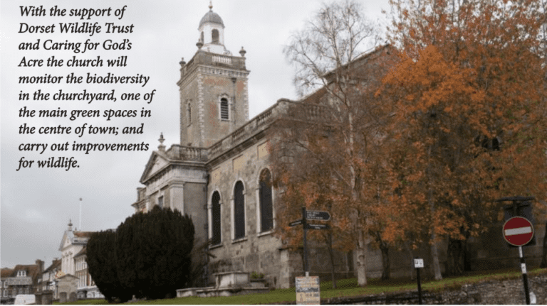 Blandford Parish Church receives over £600,000