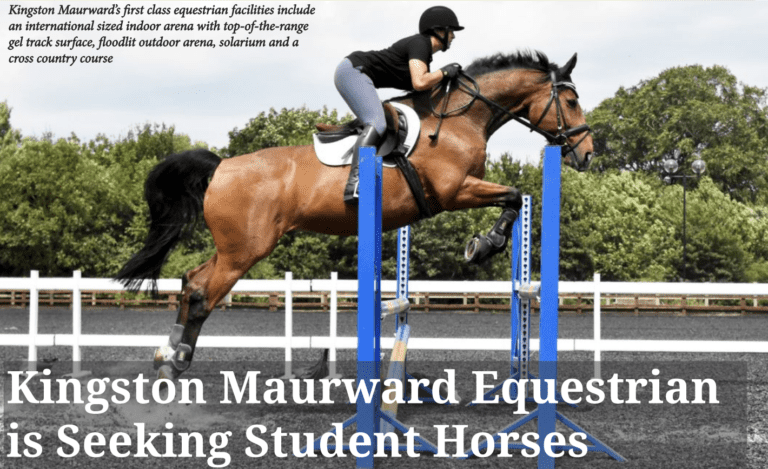 Kingston Maurward Equestrian Seeking Student Horses