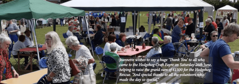 The Prickle of Hedgehogs in Hazelbury Bryan | August 2021