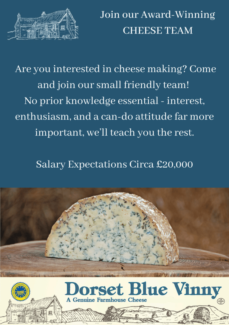 Join Our Cheese Team | Dorset Blue Vinny