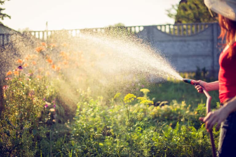 Garden Jobs for August