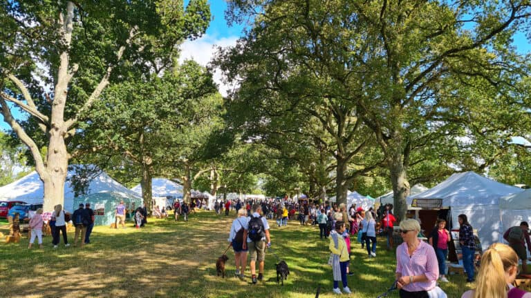 It Was A Happy 15th Birthday For The Oak Fair at Stock Gaylard.