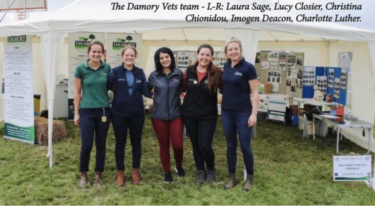 A Vets View of North Dorset’s Biggest Show