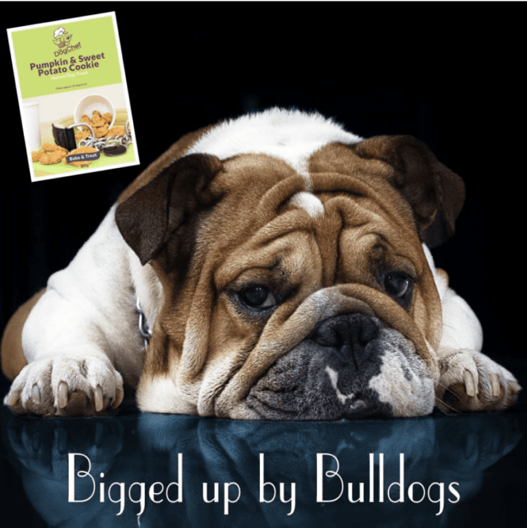 Yeovil’s Dog Chef Launches 100% Natural ‘Bake & Treat’ Dog Treats