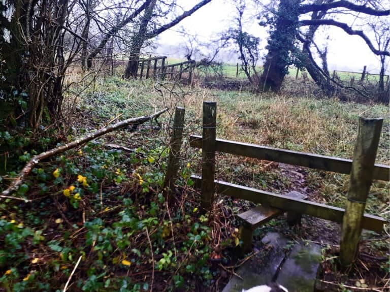 The Bridleways We’re Losing – And What you Can Do About It.