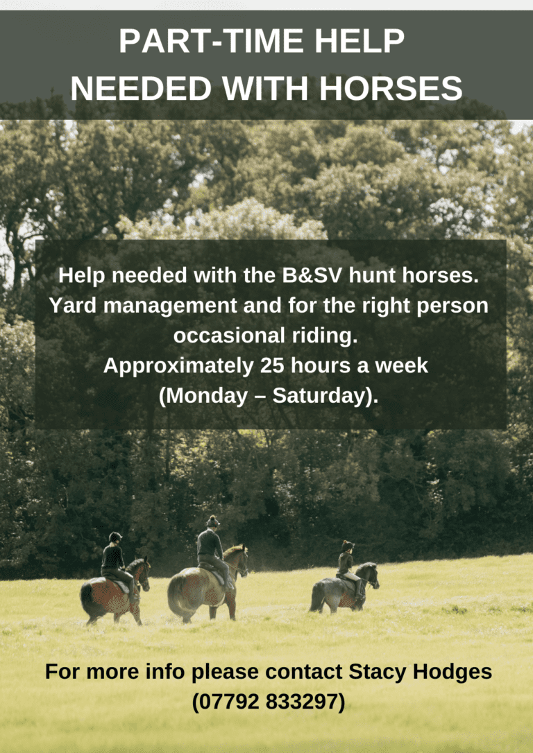 PART-TIME HELP NEEDED WITH HORSES