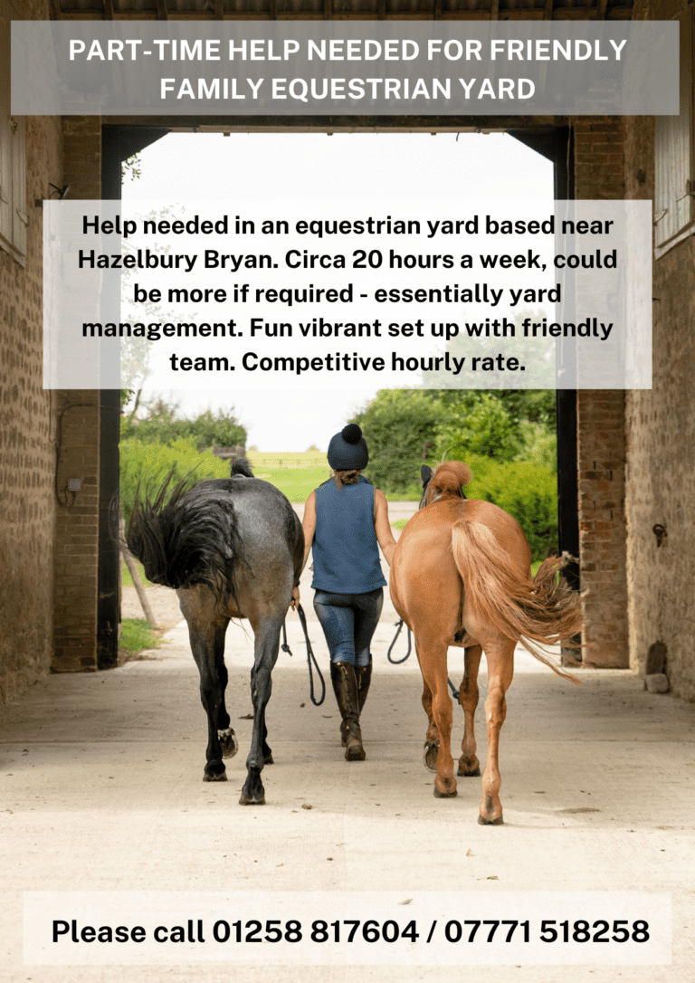 PART-TIME HELP NEEDED FOR FRIENDLY FAMILY EQUESTRIAN YARD