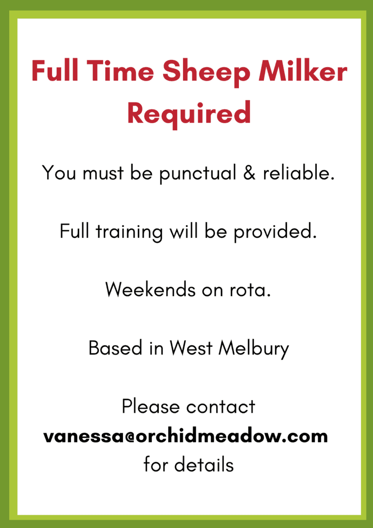 Full Time Sheep Milker Required