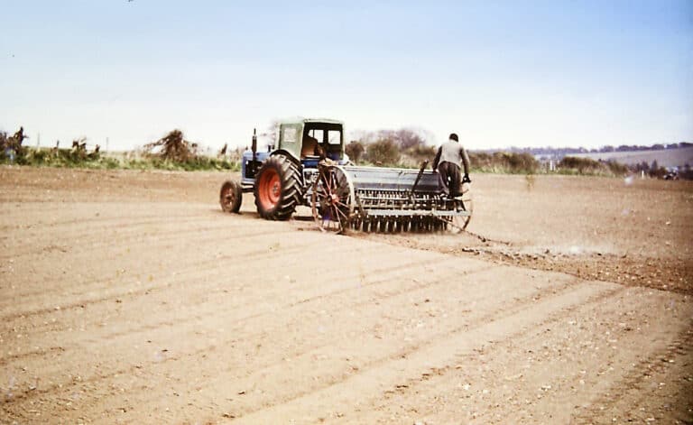 Voice of a Framer | The Great British Sowing… Bet