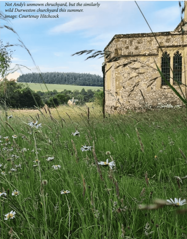 Off with his head | Tales from the Vale