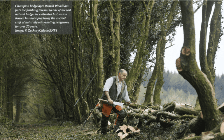 The skills that make Russell a  champion hedge-layer
