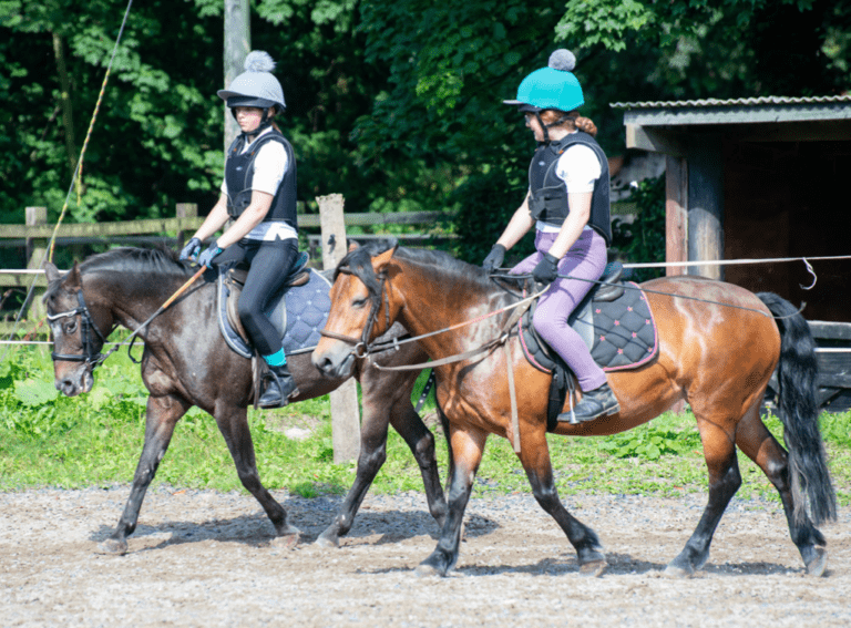 Why you should take Pony Club Efficiency Tests