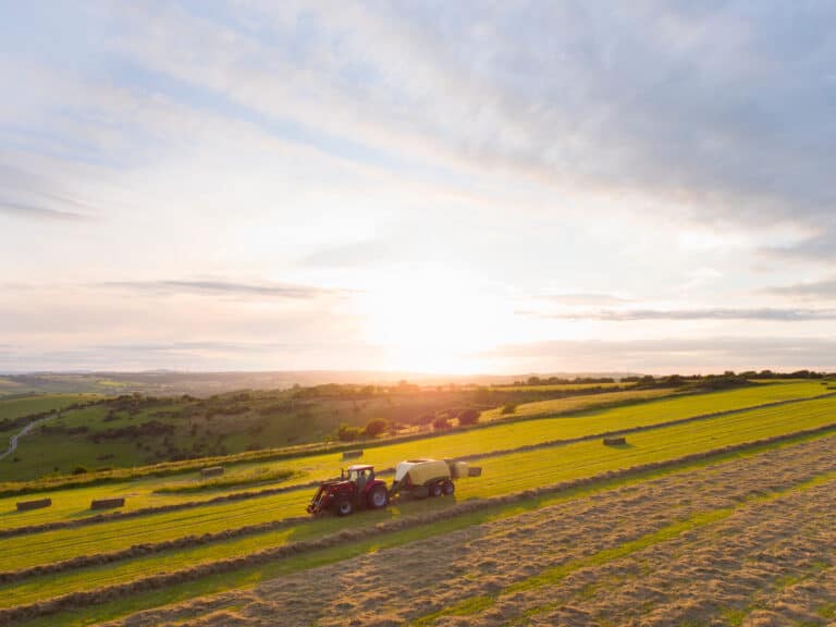 A new way to help local food businesses