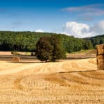 Help secure the future of British food