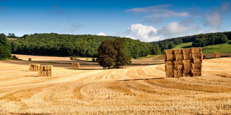 Help secure the future of British food