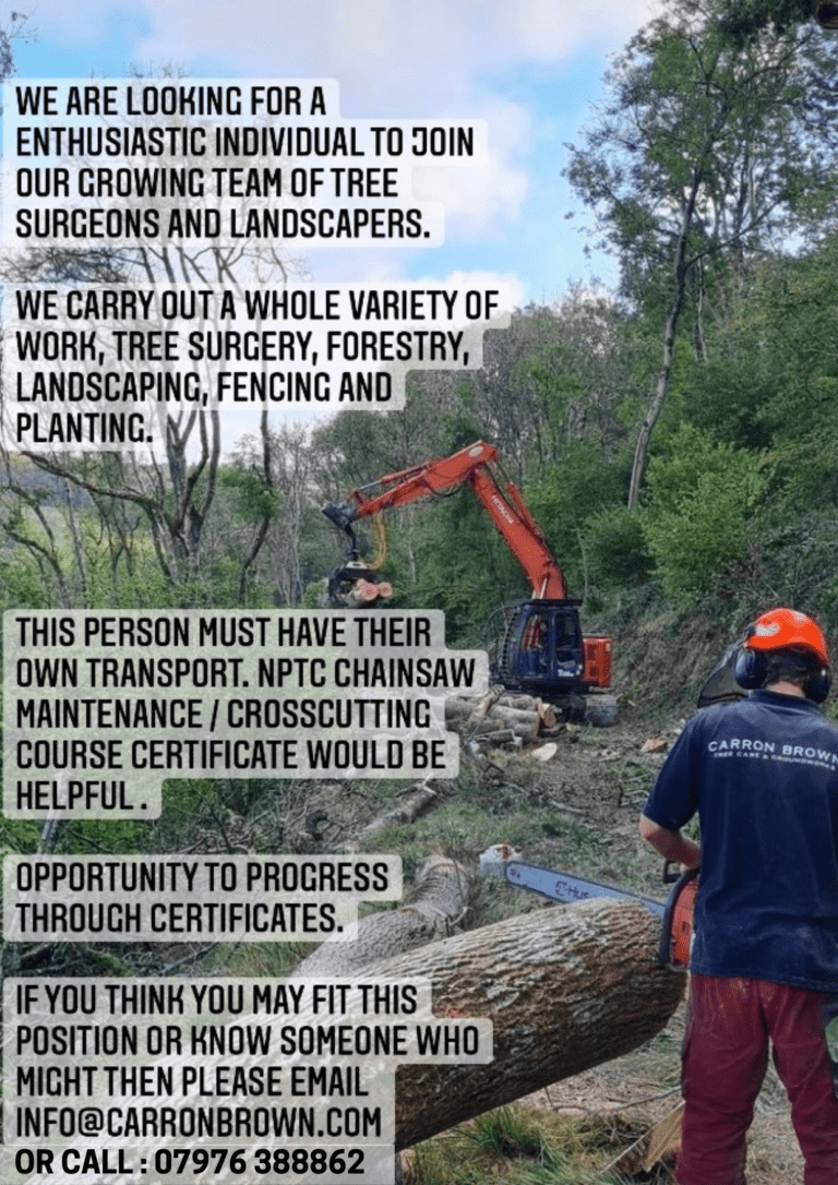 Wanted experienced Tree Surgeon/Landscaper | Carronbrown