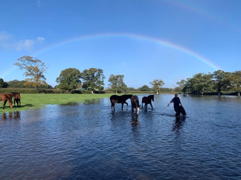 Stud Life | Foals in a flood and Soul Icon