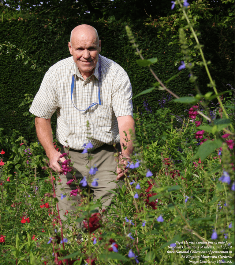 The role model in the garden