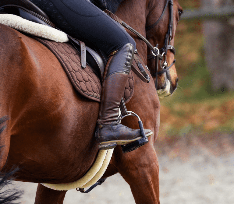 Sara’s three-step Good Coach Guide