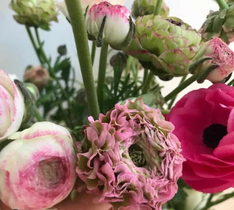 How to be blooming gorgeous!