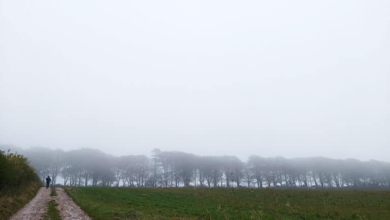 Circular Walk from Bulbarrow Hill 6.7 miles | Dorset Walks