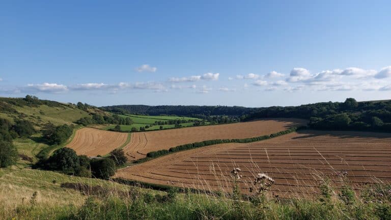 A greener future for agriculture?