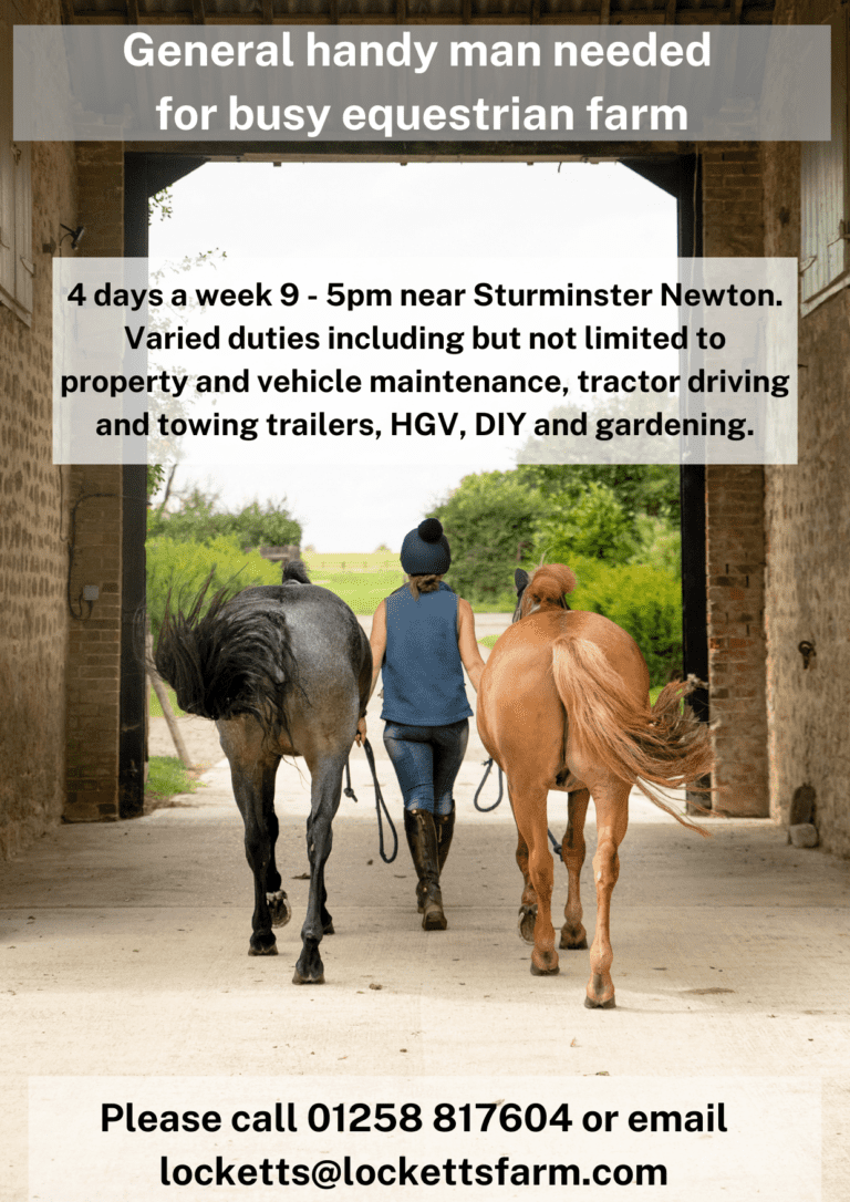 General handy man needed for busy equestrian farm