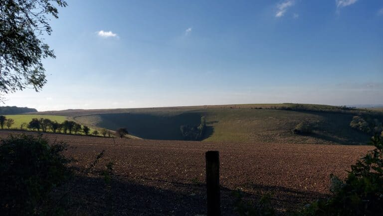 Rushmore Estate to the Ox Drove 11 miles | Dorset Walks